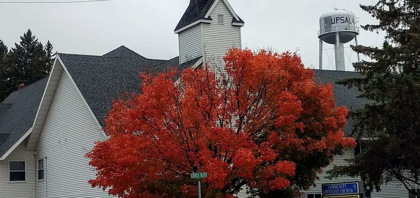 Home Upsala Covenant